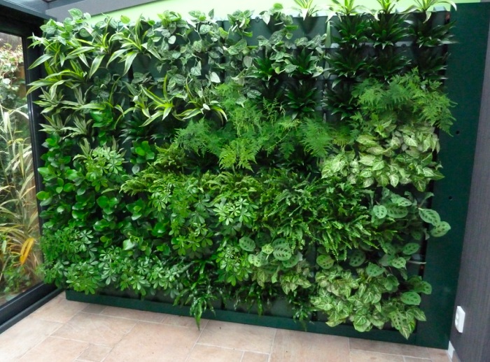 Những lý do tường cây nhựa được khách hàng ưa chuộng Những lý do tường cây nhựa được khách hàng ưa chuộng