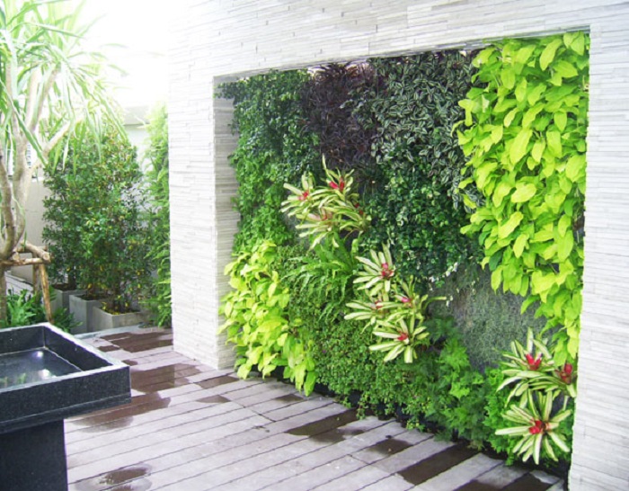 Hoa Thịnh Phát đơn vị thi công uy tín Hoa Thịnh Phát đơn vị thi công uy tín