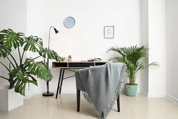 Phong cách Tropical Style trong thiết kế nội thất số 1