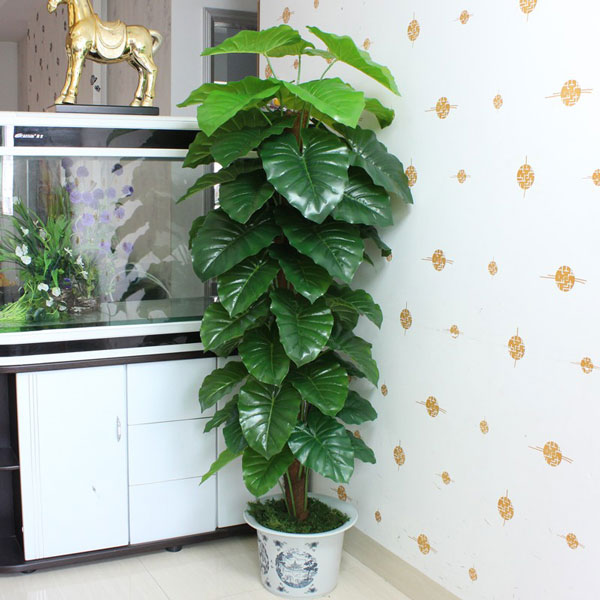 cây trầu bà leo cột giả
