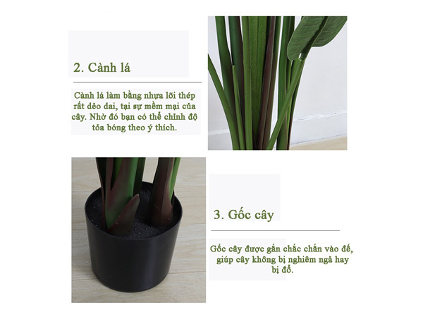 Mua cây chuối giả ở Hoa Thịnh Phát