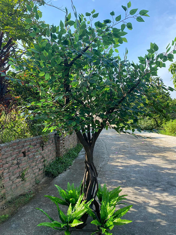 Cây si giả trang trí nhà hàng