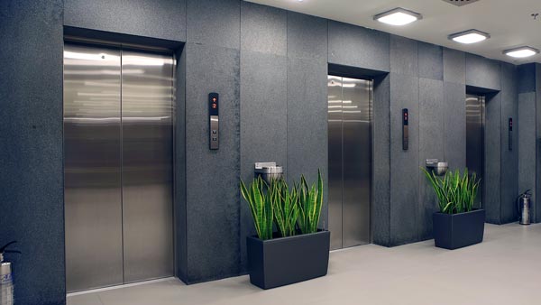 cây cảnh giả trang trí khách sạn