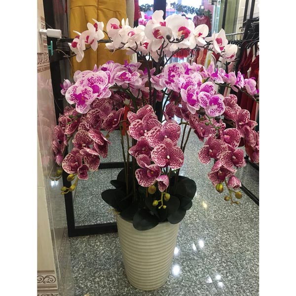  cây cảnh giả trang trí khách sạn