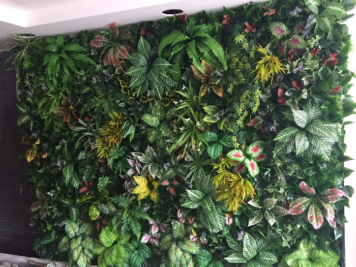 Đôi lời cảm ơn từ Hoa Thịnh Phát 