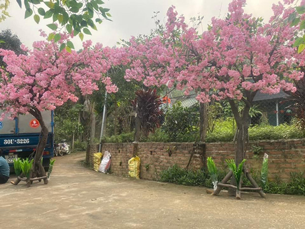 Cây đào giả sản phẩm trang trí