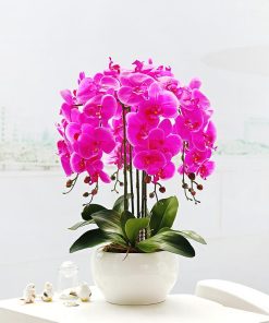 Hoa lan giả để phòng lễ tân