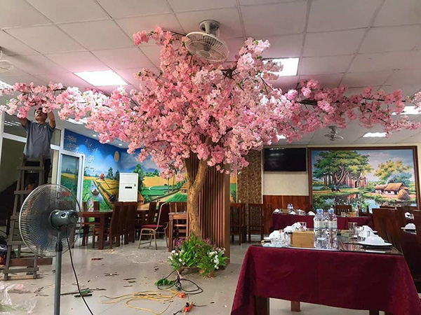 cây hoa anh đào giả