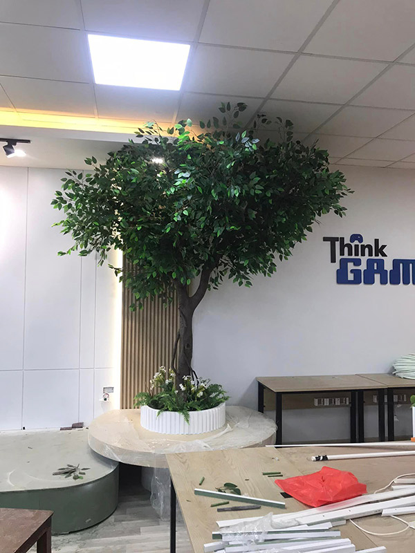 Cây si giả trang trí nhà hàng