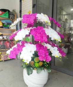 Chậu hoa Lan Giả Để Bàn Làm Việc