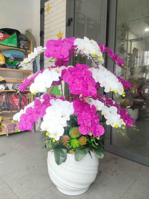 Chậu hoa Lan Giả Để Bàn Làm Việc