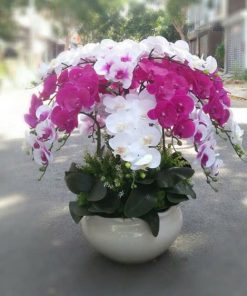 Chậu Hoa Lan Giả Trang Trí Văn Phòng Cao Cấp - Hoa Thịnh Phát