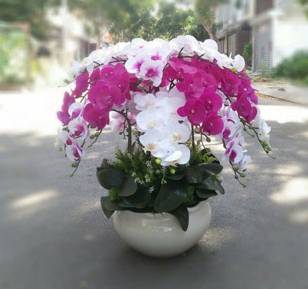 Chậu Hoa Lan Giả Trang Trí Văn Phòng Cao Cấp - Hoa Thịnh Phát