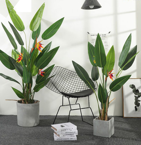 Ý nghĩ của việc trang trí cây giả trong nhà