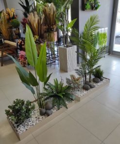 Tiểu Cây Giả Quận 6