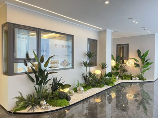Tiểu Cây Giả Quận 5