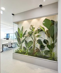 Tiểu Cây Giả Quận 2