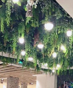 Trần Cây Giả Công Ty