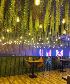 Trần Cây Giả Quận 10