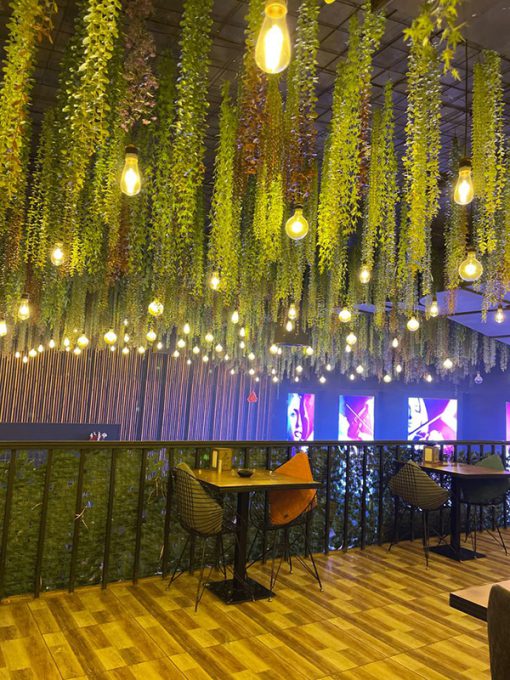 Trần Cây Giả Quận 10