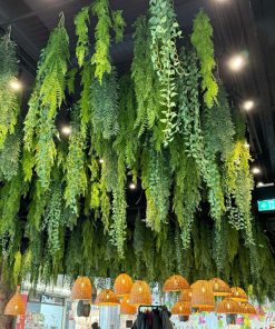 Trần Cây Giả Tân Phú