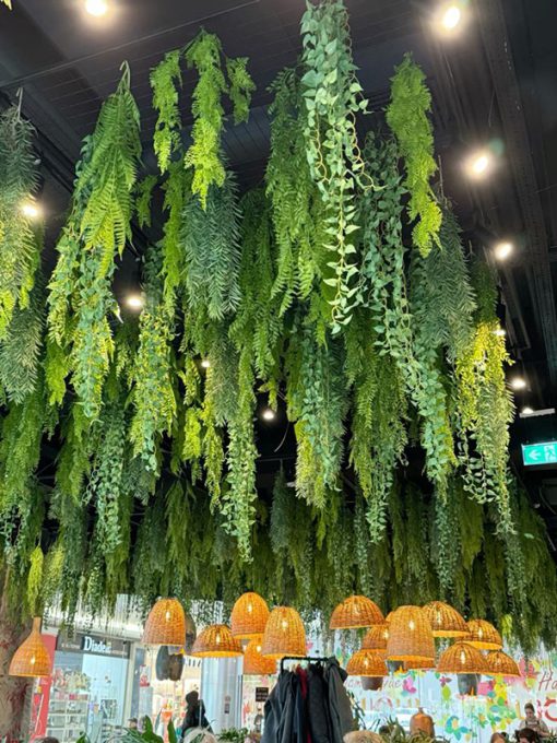 Trần Cây Giả Tân Phú