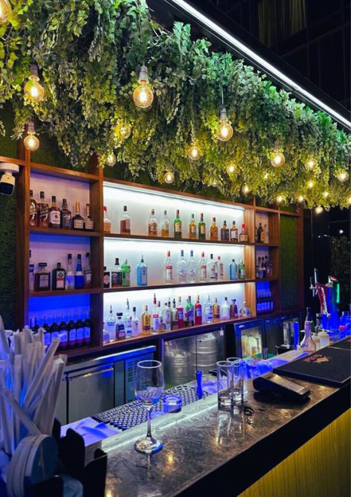 Trần Cây Giả Tân Bình