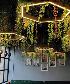 Trần Cây Giả Quận 12