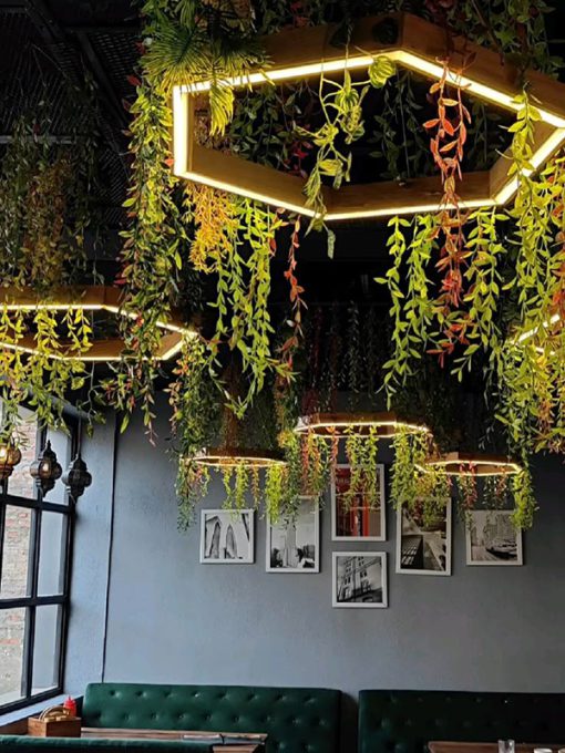 Trần Cây Giả Quận 12