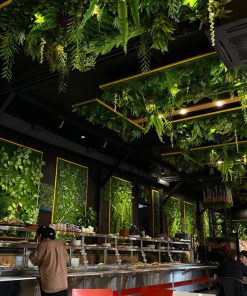 Trần Cây Giả Quận 4