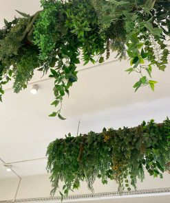 Trần Cây Giả Gò Vấp