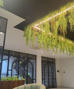 Trần Cây Giả Quận Thủ Đức