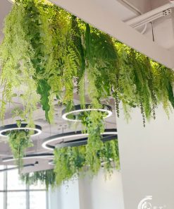 Trần Cây Giả Quán Cà Phê