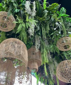 Trần Cây Giả Quận 6