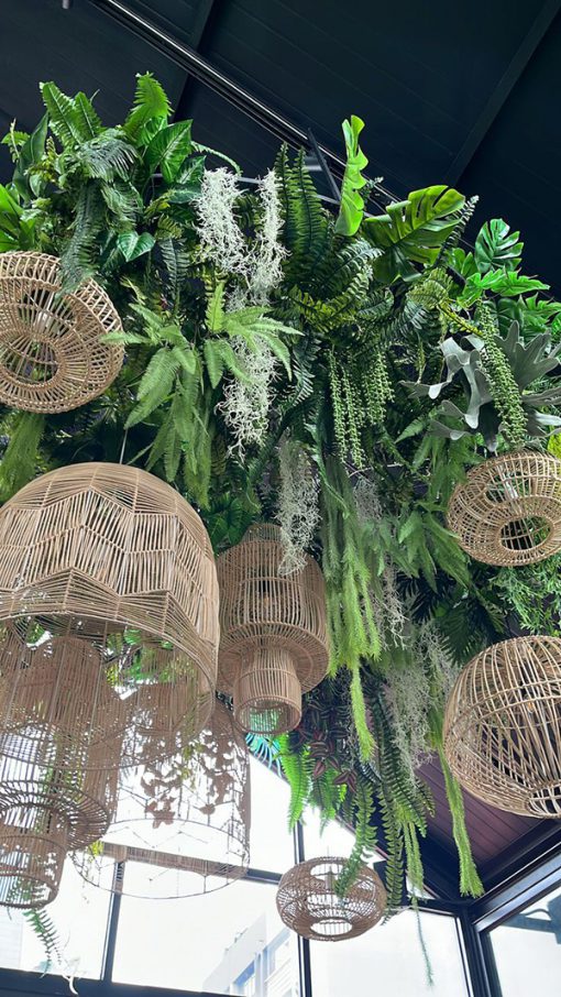 Trần Cây Giả Quận 6