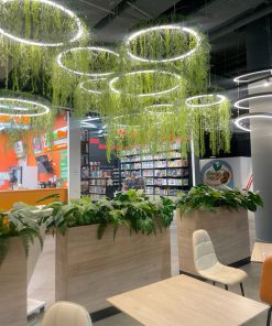 Trần Cây Giả Spa
