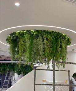 Trần Cây Giả Chung Cư