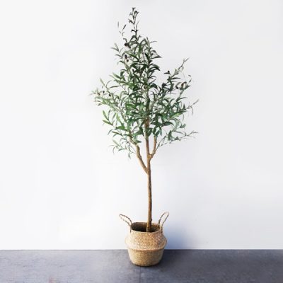 Cây Giả Trang Trí Quán Cà Phê Phong Cách Bắc Âu
