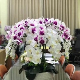 Chậu Hoa Lan Giả Để Bàn