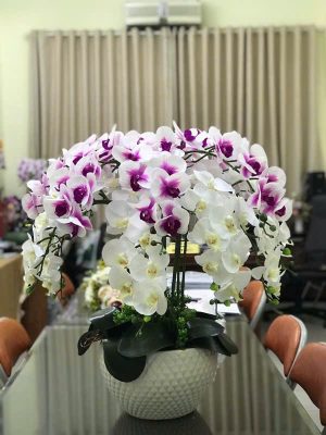 Chậu Hoa Lan Giả Để Bàn