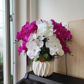 Chậu Lan Hồ Điệp Giả Trang Trí Phòng Khách