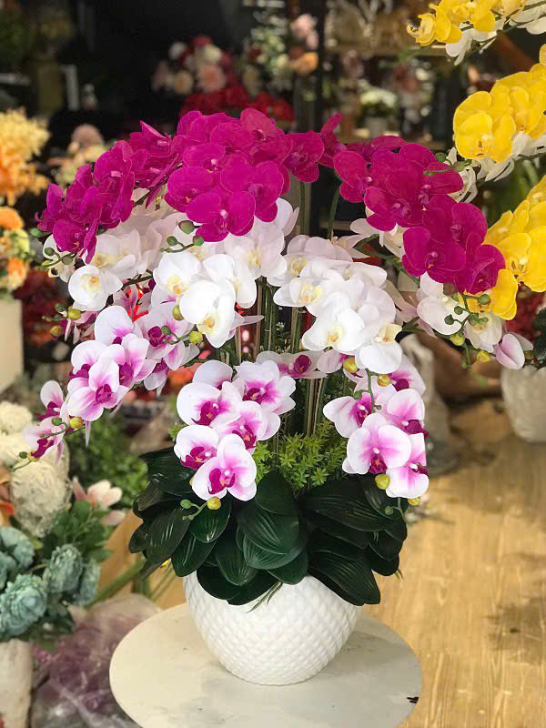 Chậu hoa lan trang trí nội thất
