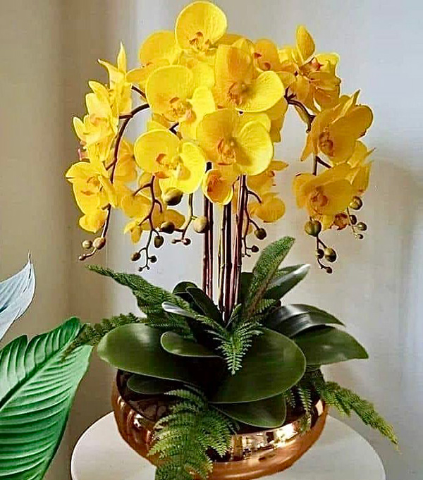 Chậu Hoa Lan Giả Màu Vàng
