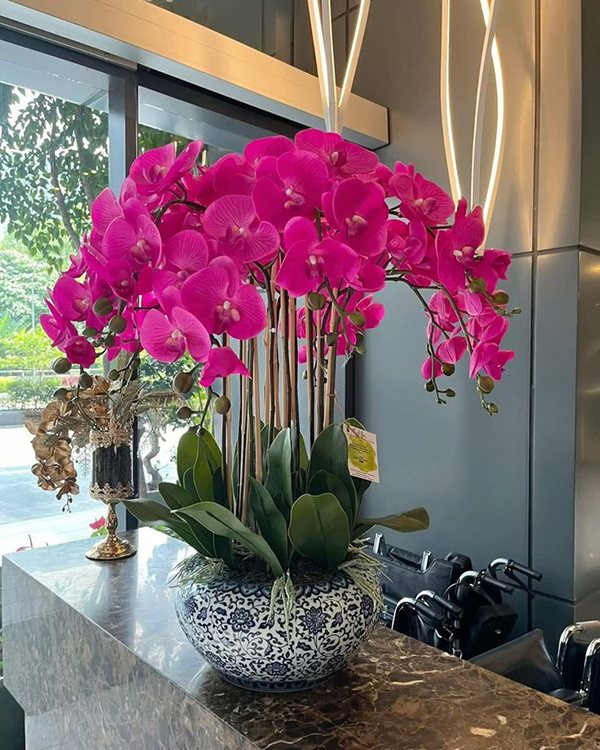 Chậu Hoa Lan Hồ Điệp Giả Màu Tím Để Bàn