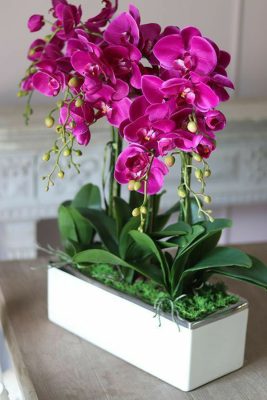 Chậu Hoa Lan Hồ Điệp Giả Màu Tím Để Bàn