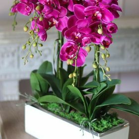 Chậu Hoa Lan Hồ Điệp Giả Màu Tím Để Bàn
