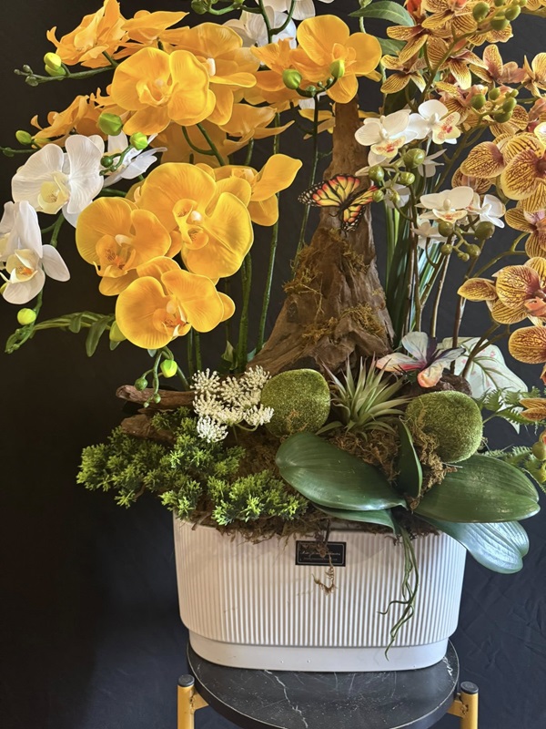 Chậu Hoa Lan Giả Kết Hợp Lũa Tự Nhiên