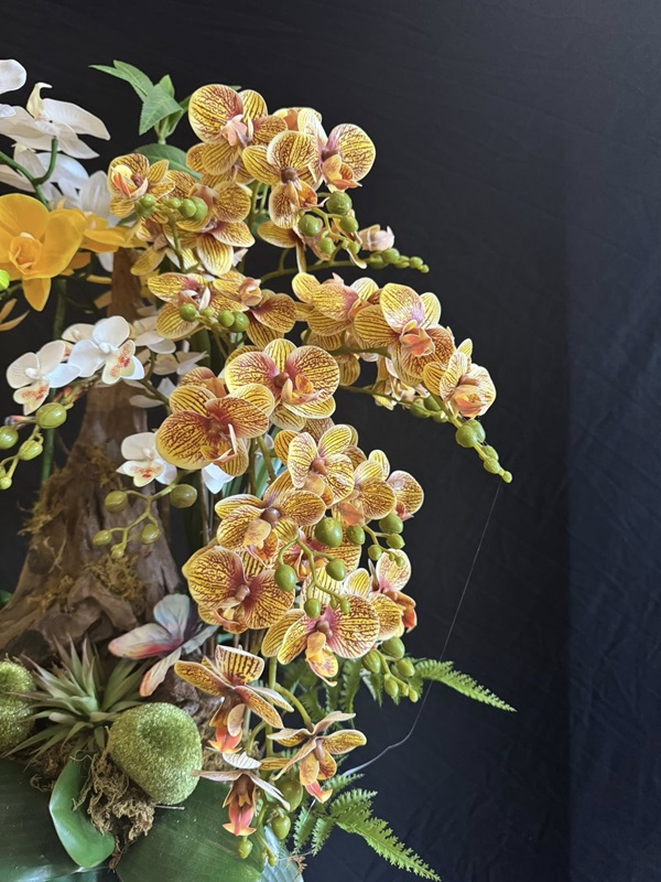 Chậu Hoa Lan Giả Kết Hợp Lũa Tự Nhiên