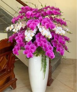 Cây Lan Hồ Điệp Giả