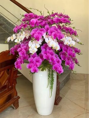 Cây Lan Hồ Điệp Giả